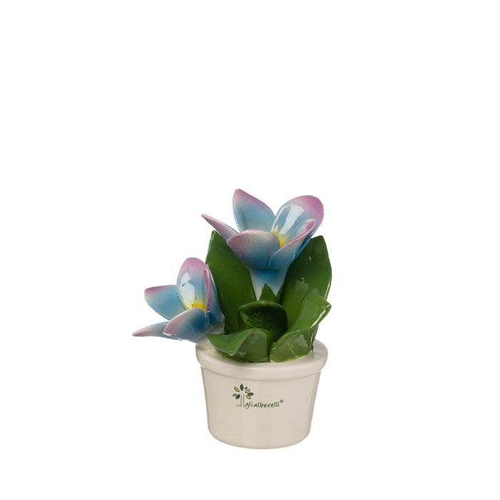 Profumotta Frangipane H.14-Blu