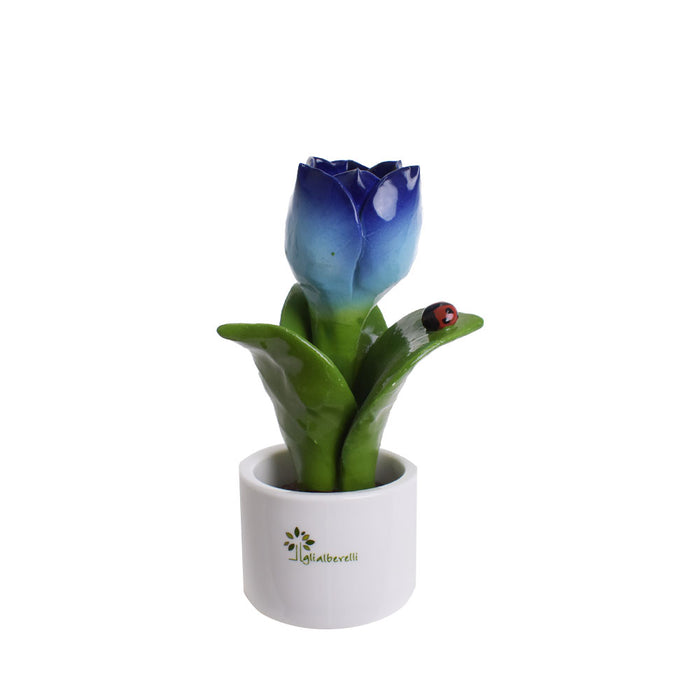 Tulipani Sfumati-Blu