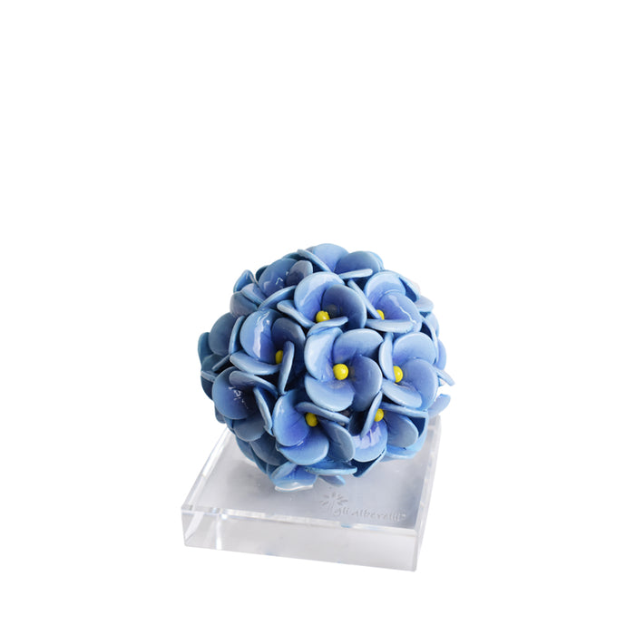 Ortensie H.9-Blu