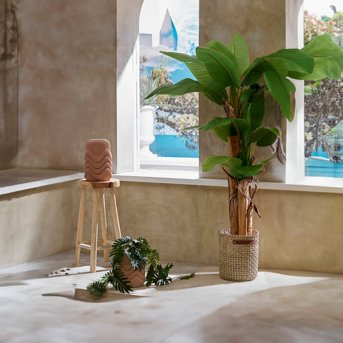 Pianta Artificiale Banano con Vaso H200 cm - EDG