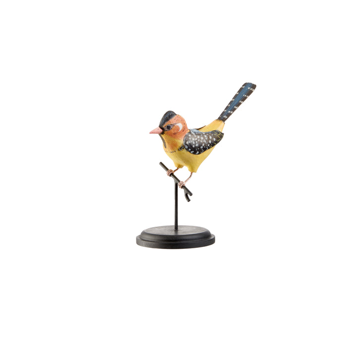 BARBUTO TESTAROSSA DECORATIVO