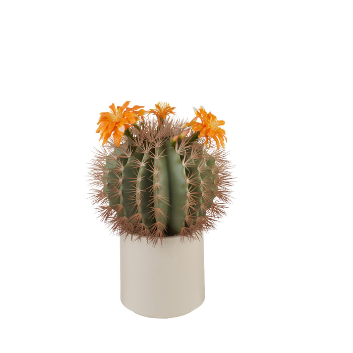 CACTUS FIORI ARANCIONI