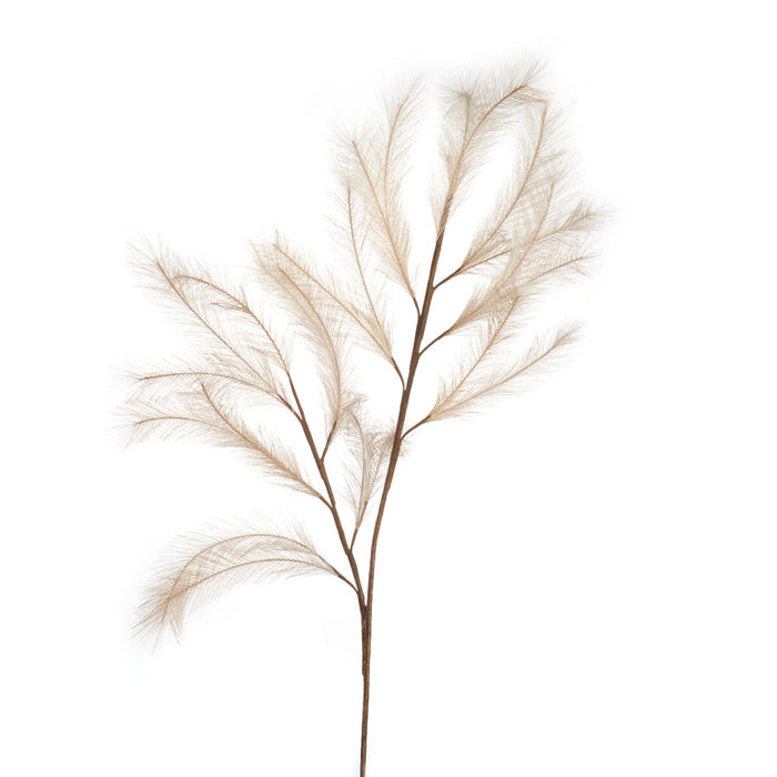 PAMPAS NATURALE (imballo 4 pz )