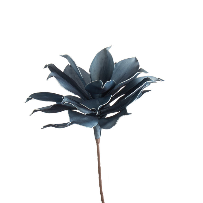 MAGNOLIA GIGANTE AVIO (imballo 4 pz )