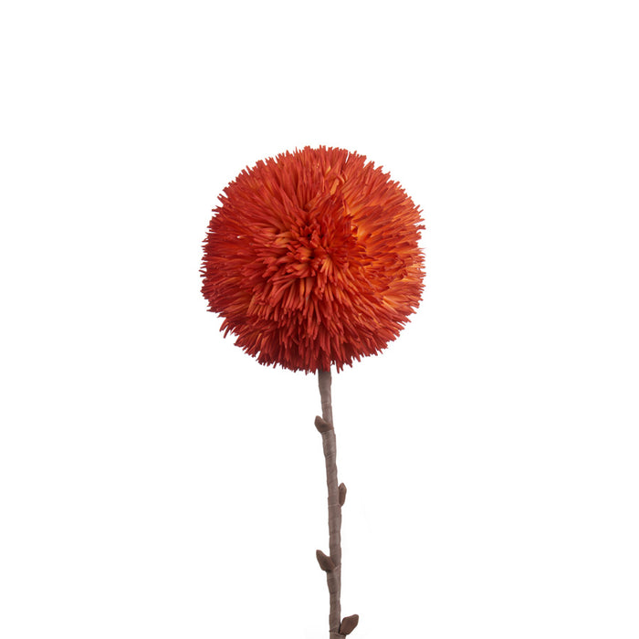 ALLIUM ARANCIO (imballo 4 pz )