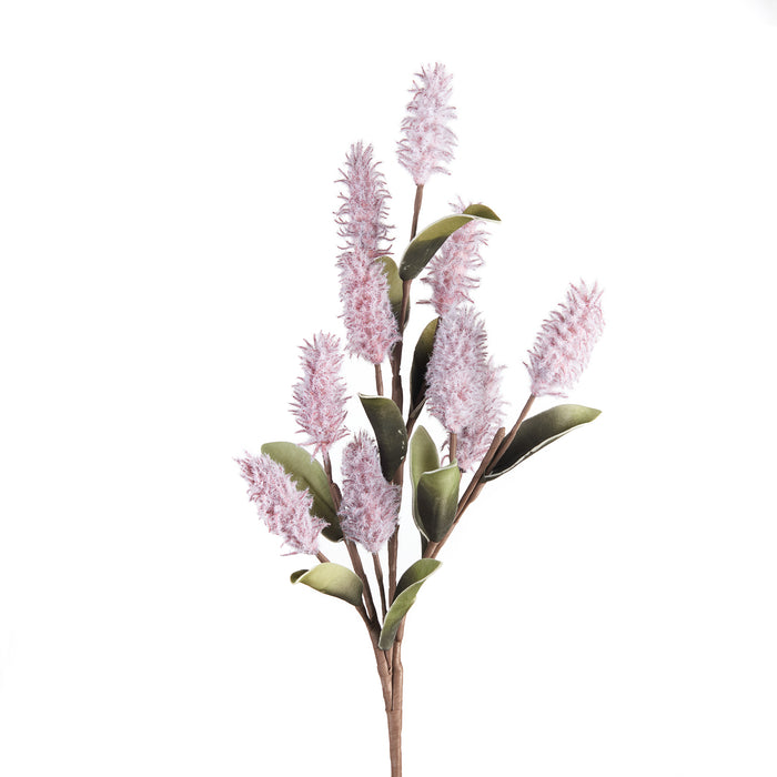 PINK MULLA MULLA (imballo 4 pz)