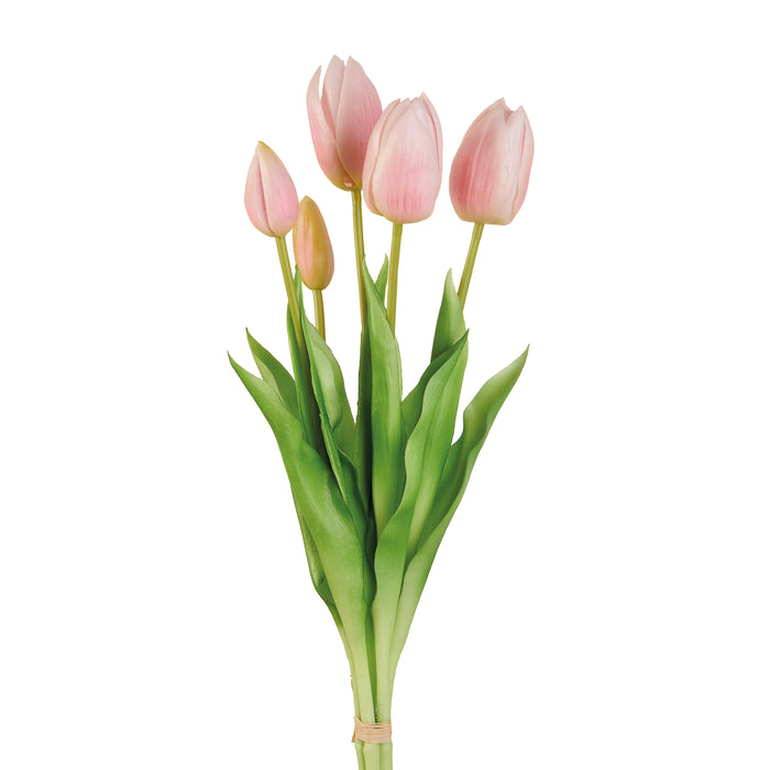 TULIPANI ROSA (Imballo 4 pz)