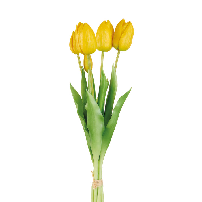 TULIPANI GIALLI (Imballo 4 pz)