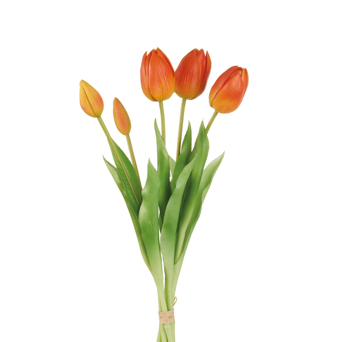 TULIPANI ARANCIONI (Imballo 4 pz)