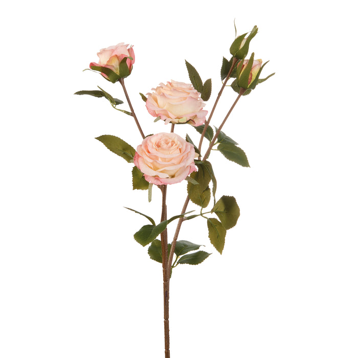 ROSE ROSA CHIARO (Imballo 4 pz)