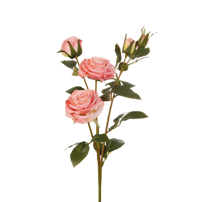 ROSE ROSA (Imballo 4 pz)