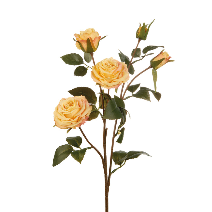 ROSE GIALLE (Imballo 4 pz)