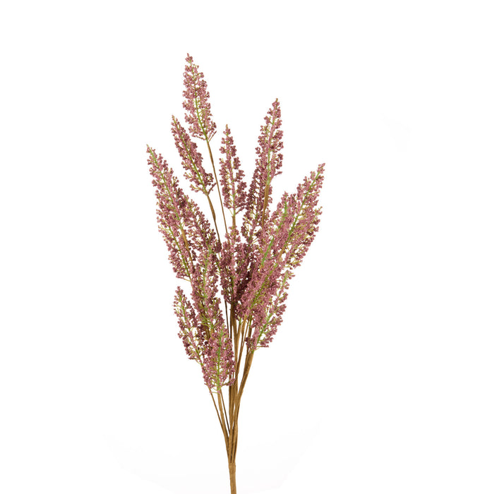 ERICA (imballo 4 pz)