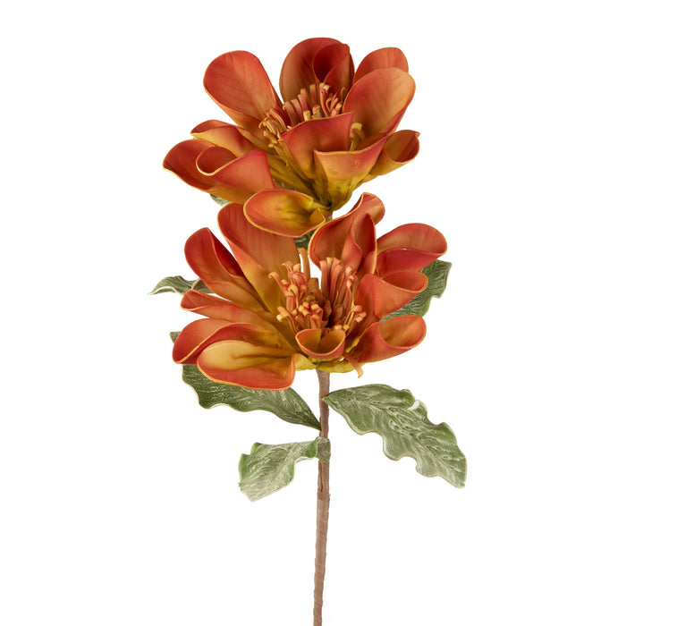 UVULARIA ARANCIONE (imballo 4 pz)