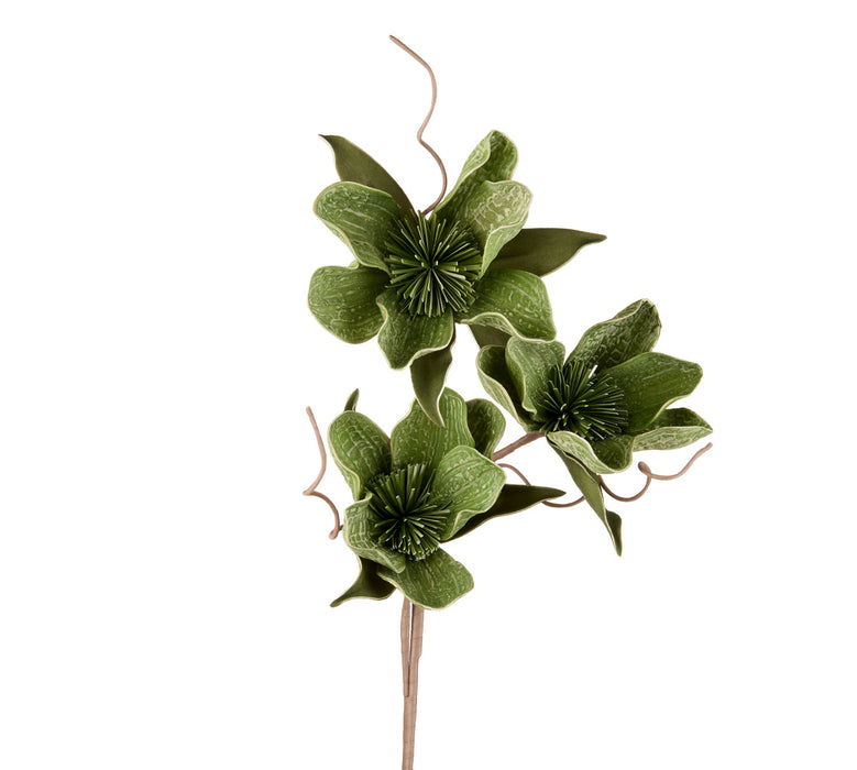 FIORE DI CEIBA (imballo 4 pz)