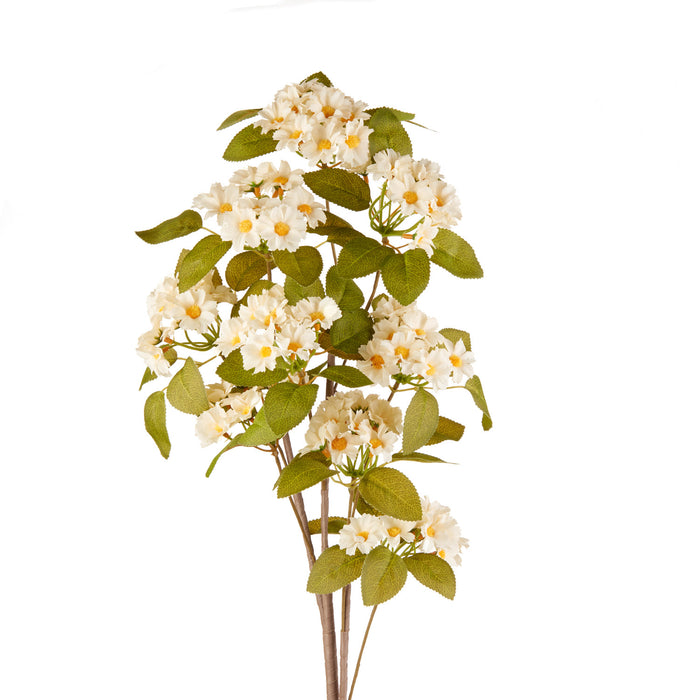 ELLEBORO (imballo 4 pz)