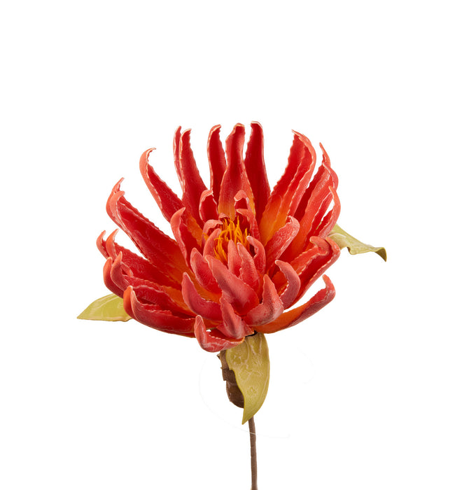 DRAGON CLAW ARANCIONE (imballo 4 pz)