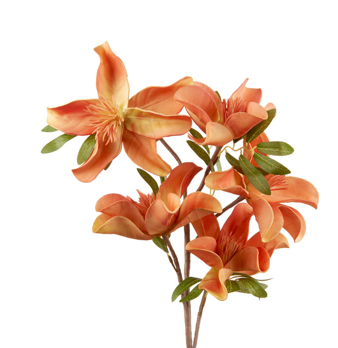 GIGLIO ROSSO (imballo 4 pz)