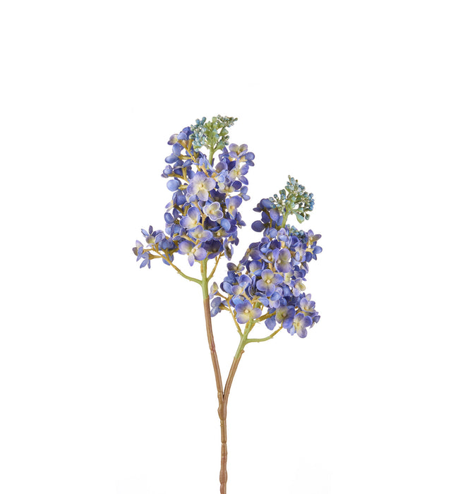 LILLA' BLU (imballo 4 pz)