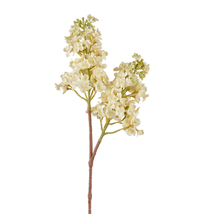 LILLA' BIANCO (imballo 4 pz)