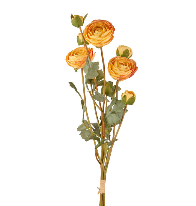 RANUNCOLO GIALLO (imballo 4 pz)