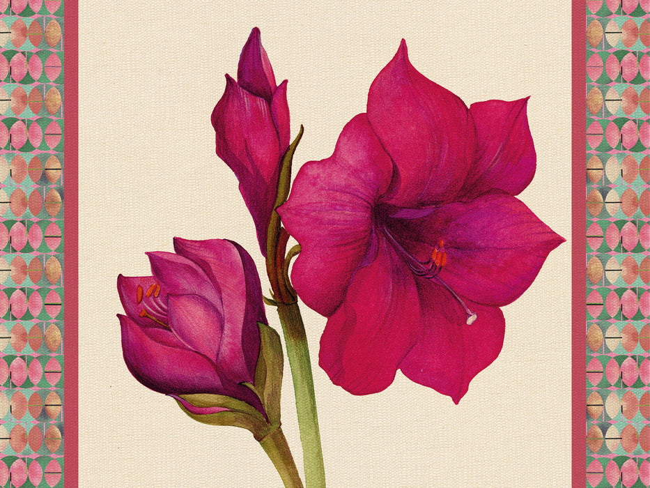 TOVAGLIETTA RIGIDA AVORIO 39x29,5 - AMARYLLIS