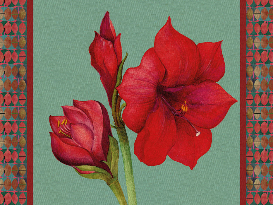 TOVAGLIETTA RIGIDA OTTANIO 39x29,5 - AMARYLLIS