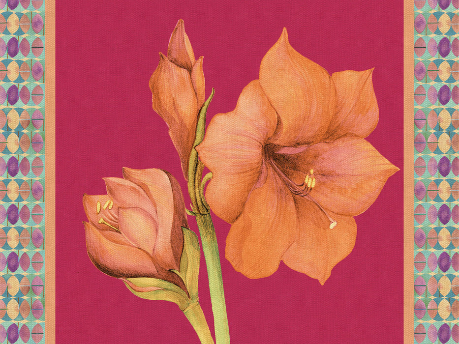 TOVAGLIETTA RIGIDA MAGENTA 39x29,5 - AMARYLLIS