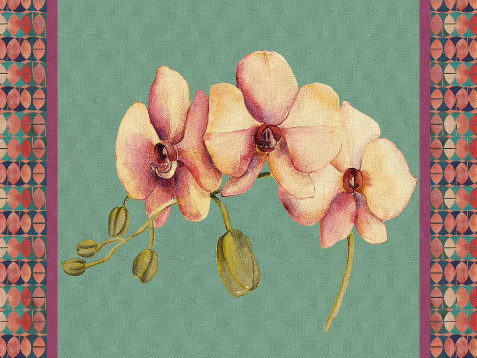 TOVAGLIETTA RIGIDA OTTANIO 39x29,5 - ORCHIDEA