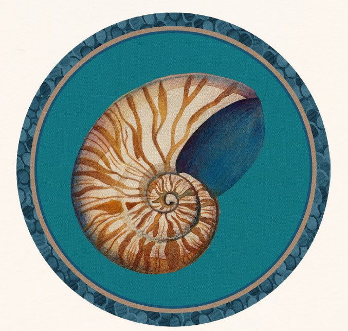 TOVAGLIETTA RIGIDA TURCHESE Ø39-NAUTILUS