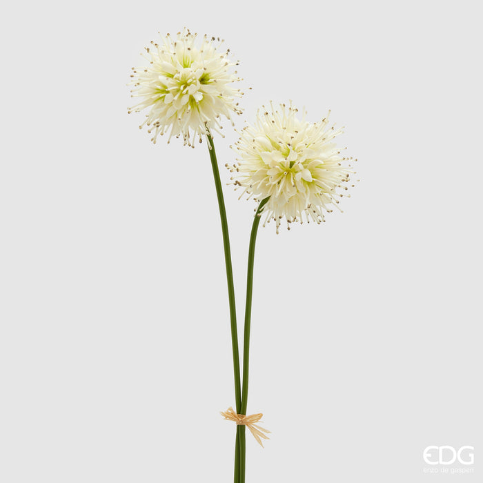 Ramo di Succisa 2 Fiori H60 cm Bianco