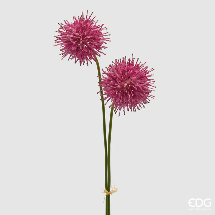 Ramo di Succisa 2 Fiori H60 cm Fucsia