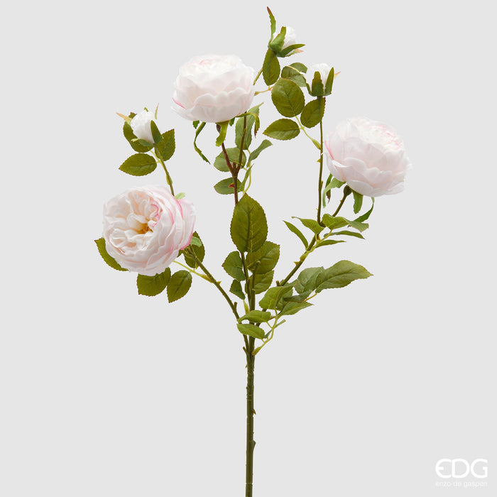 Ramo di Rosa Sonia con Foglie H65 cm Rosa Sfumato