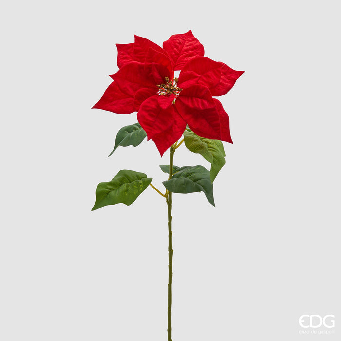 EDG Enzo De Gasperi Stella di Natale Real H70 cm