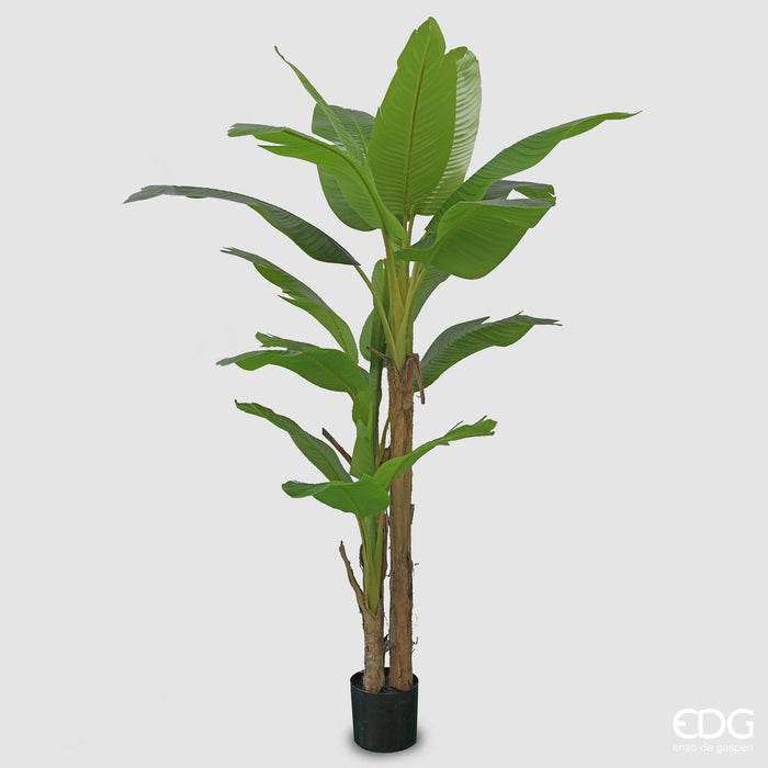 Pianta Artificiale Banano con Vaso H200 cm - EDG