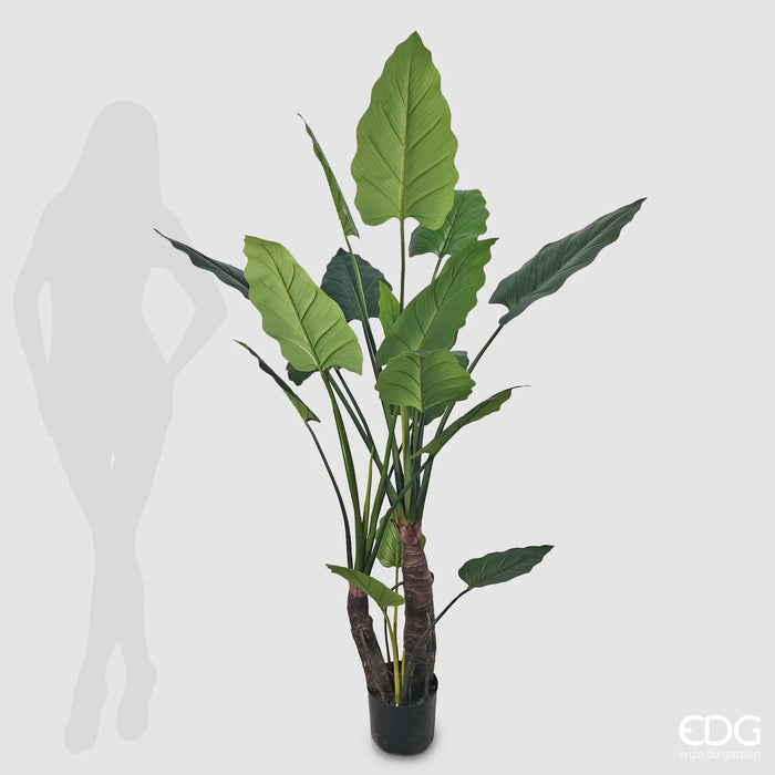 Pianta Artificiale Alocasia con Vaso H180 cm