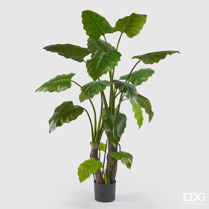 Pianta Artificiale Alocasia con Vaso H180 cm