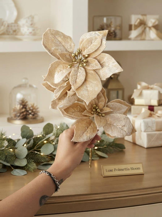 Stella di natale nocciola fiori di lena