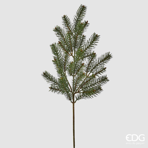 EDG Enzo De Gasperi Ramo di Pino H65 cm