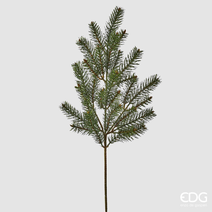 EDG Enzo De Gasperi Ramo di Pino H65 cm