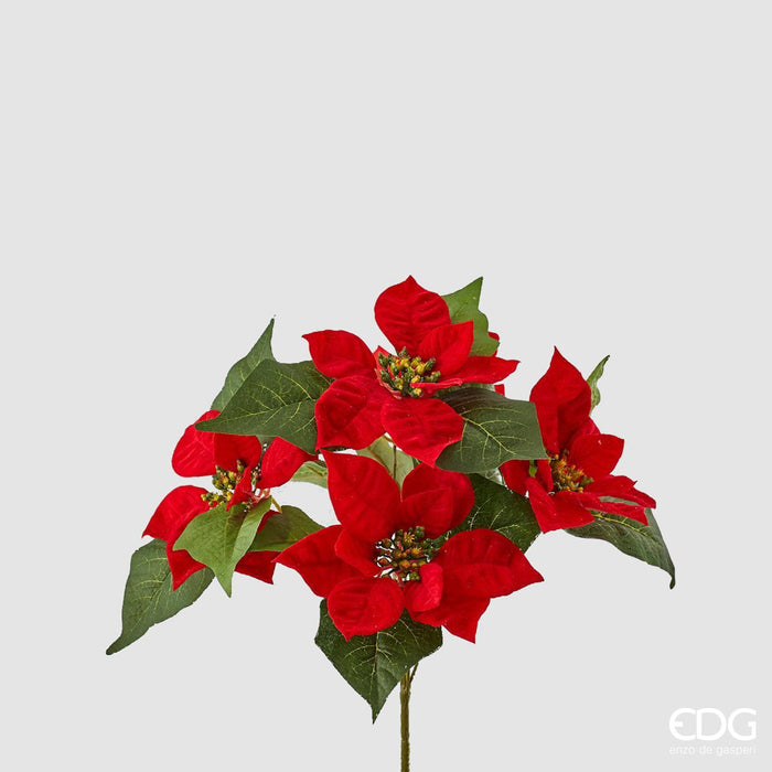 EDG Enzo De Gasperi Mazzo Stelle di Natale Real 5 Fiori H30 cm