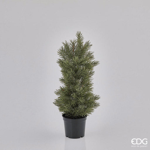 EDG Enzo De Gasperi Pino con vaso 93 Rami H40 cm