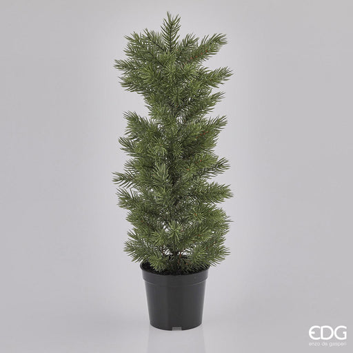 EDG Enzo De Gasperi Pino con vaso 135 Rami H53 cm