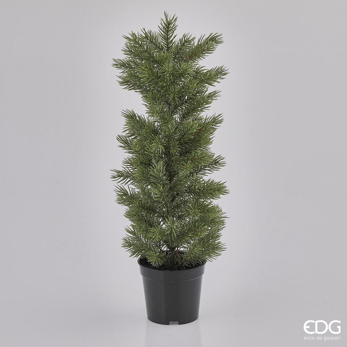 EDG Enzo De Gasperi Pino con vaso 135 Rami H53 cm