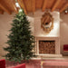 EDG Enzo De Gasperi Albero di Natale Pino Luxury 300 cm Natural senza led