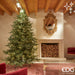 EDG Enzo de Gasperi Albero di Natale Pino Luxury 300 cm con 7000 mini led D186 cm