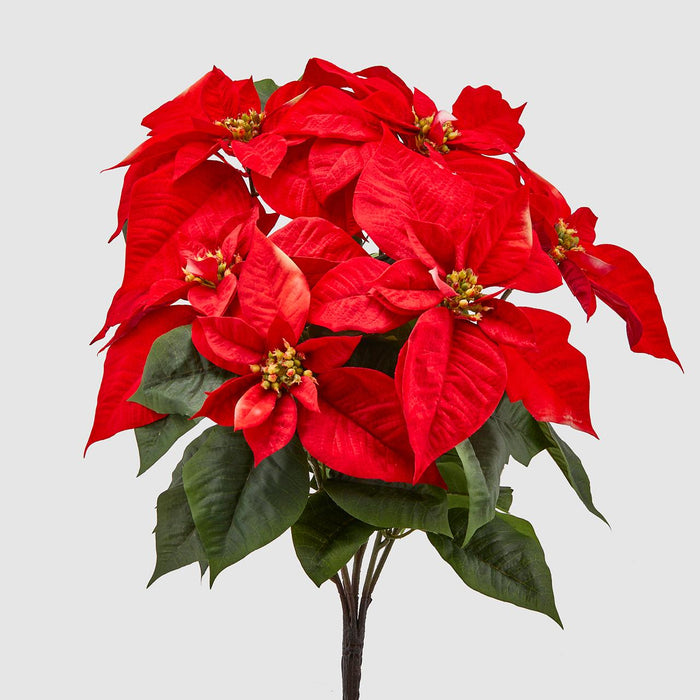 EDG Enzo De Gasperi Mazzo Stelle di Natale Luxury 5 Fiori H51 cm