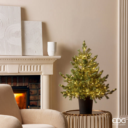 EDG Enzo De Gasperi Pino Argentato con 240 Led H90 cm