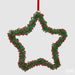 EDG Enzo De Gasperi Decorazione BerryFir Stella D20 cm