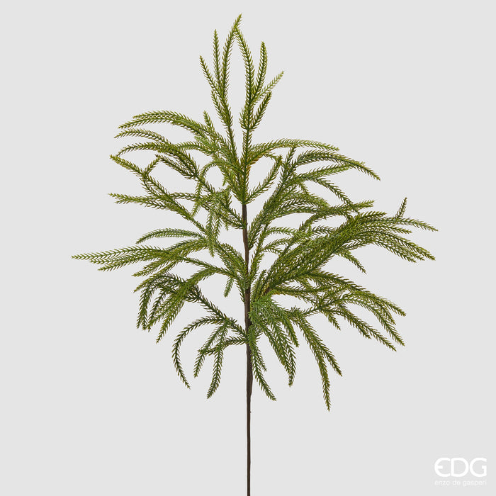 EDG Enzo De Gasperi Ramo di Criptomeria H85 cm